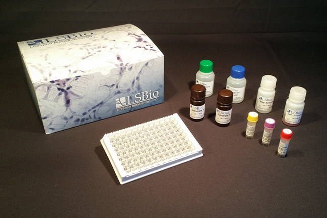 Human ALB / Serum Albumin Quant ELISA Kit | Competitive EIA | LSBio