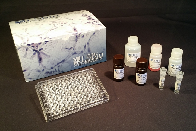 Anti-Echovirus antibody (IgG) ELISA Kit