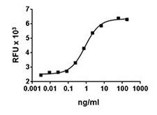 BAFF / TNFSF13B Protein - IgM-stimulated mouse B cell proliferation induced by human BAFF.
