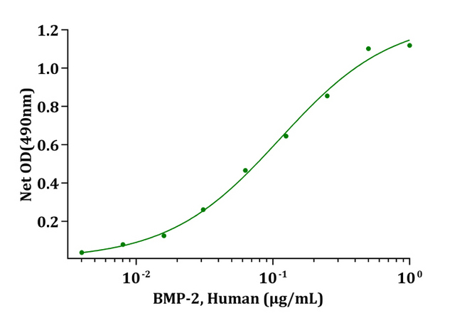 BMP2 Protein - Biological Activity BMP-2, Human induce alkaline phosphatase production by ATDC5 cells. The ED 50 for this effect is typically 0.07-0.20 ug/mL.
