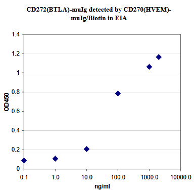 BTLA / CD272 Protein
