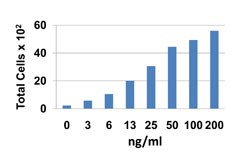 CCL25 / TECK Protein - Baf3-hCCR9 transfectants chemoattracted by human CCL25.