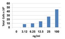 CCL27 Protein - Baf3-hCCR10 transfectants chemoattracted by human CCL27.