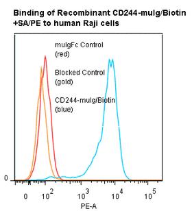 CD244 Protein