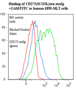 CD275 / B7-H2 / ICOS Ligand Protein