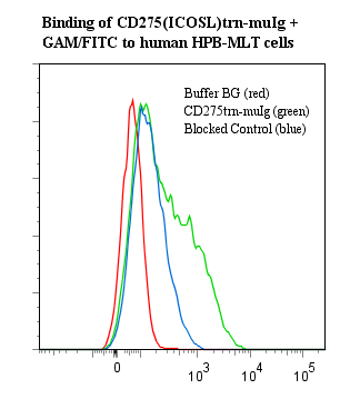 CD275 / B7-H2 / ICOS Ligand Protein