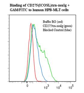 CD275 / B7-H2 / ICOS Ligand Protein