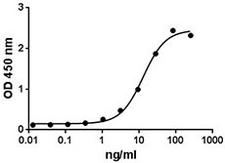 CD27L / CD70 Protein - Human CD27L binds to immobilized CD27 (2 µg/ml) in a dose dependent manner. The ED50 = 8 - 30 ng/ml.