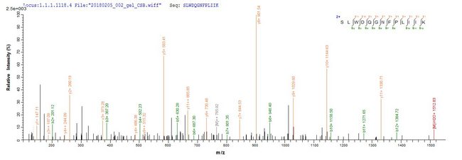 CD4 Protein - Based on the SEQUEST from database of E.coli host and target protein, the LC-MS/MS Analysis result of Recombinant Human T-cell surface glycoprotein CD4(CD4),partial could indicate that this peptide derived from E.coli-expressed Homo sapiens (Human) CD4.