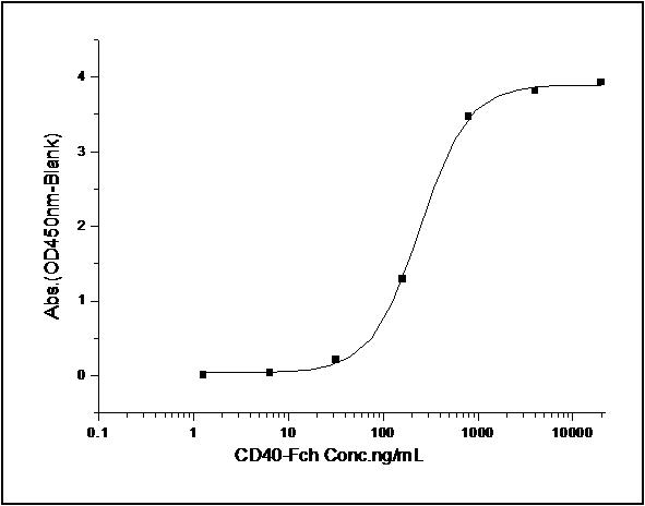 CD40L Protein - Measured by its binding ability in a functional ELISA. Immobilized human CD40L at 10 µg/ml (100 µl/well) can bind human CD40 / Fc with a linear range of 7.8-125 ng/ml.