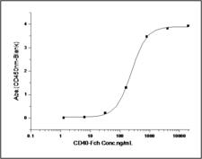 CD40L Protein - Measured by its binding ability in a functional ELISA. Immobilized human CD40L at 10 µg/ml (100 µl/well) can bind human CD40 / Fc with a linear range of 7.8-125 ng/ml.