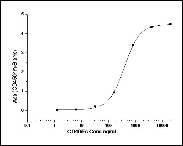 CD40L Protein - Measured by its binding ability in a functional ELISA. Immobilized human CD40L at 10 µg/ml (100 µl/well) can bind human CD40 with a linear range of 15.6-500 ng/ml.
