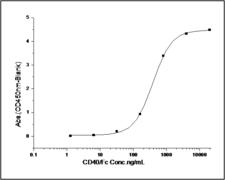 CD40L Protein - Measured by its binding ability in a functional ELISA. Immobilized human CD40L at 10 µg/ml (100 µl/well) can bind human CD40 with a linear range of 15.6-500 ng/ml.