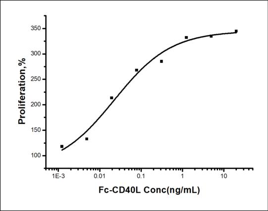 CD40L Protein - Measured in a cell proliferation assay using Ramos.2G6.4C10 Burkitt's lymphoma cells. The ED50 for this effect is typically 10-50 ng/mL.