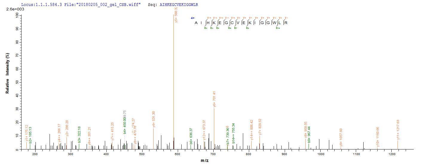 CD63 Protein - Based on the SEQUEST from database of Yeast host and target protein, the LC-MS/MS Analysis result of Recombinant Human CD63 antigen(CD63),partial could indicate that this peptide derived from Yeast-expressed Homo sapiens (Human) CD63.