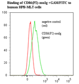 CD86 Protein