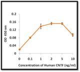 CNTF Protein - The ED50 as determined by the dose-dependent proliferation of human erythroleukemic cell line was found to be <2 ng/mL