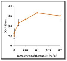 CSF1 / MCSF Protein - The ED50 as determined by the dose-dependent stimulation of the proliferation of M-NFS-60 cells was found to be < 1.0 ng/mL