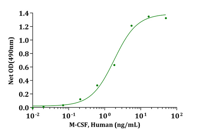 CSF1 / MCSF Protein - Biological Activity M-CSF, Human stimulates cell proliferation of M-NFS-60 cells. The ED 50 for this effect is typically 1-3ng/mL.