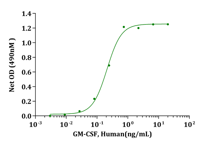 CSF2 / GM-CSF Protein - Biological Activity GM-CSF, Human stimulates cell proliferation of R&amp;D TF-1 cells. The ED 50 for this effect is less than 0.5ng/mL.