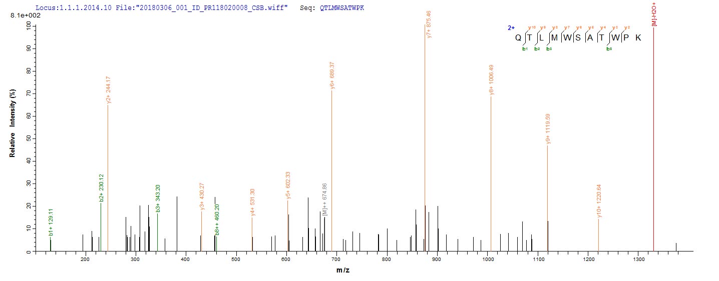 DDX5 Protein - Based on the SEQUEST from database of E.coli host and target protein, the LC-MS/MS Analysis result of Recombinant Human Probable ATP-dependent RNA helicase DDX5(DDX5) could indicate that this peptide derived from E.coli-expressed Homo sapiens (Human) DDX5.