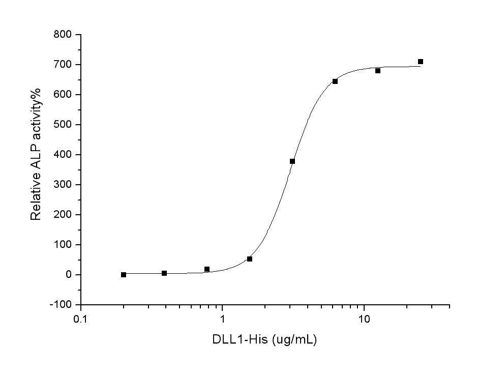 DLL1 Protein - Measured by the ability of the immobilized protein to enhance BMP2-induced alkaline phosphatase activity in C3H10T1/2 mouse embryonic fibroblast cells. The ED50 for this effect is typically 2-20 µg/mL.