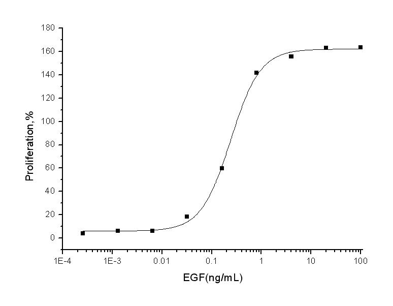 EGF Protein - Measured in a cell proliferation assay using Balb/C 3T3 mouse embryonic fibroblasts. The ED50 for this effect is typically 0.15-0.75 ng/mL.