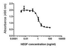 EGF Protein - Inhibition of A431 cell proliferation by human EGF.