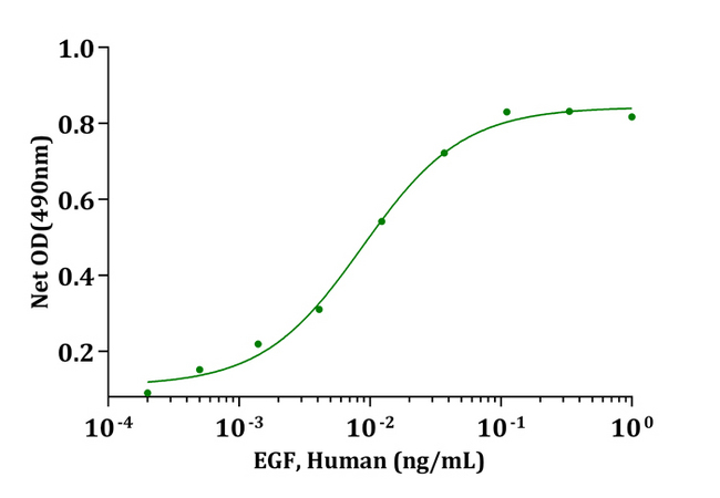 EGF Protein - Biological Activity EGF, Human stimulates cell proliferation of BALB/c 3T3 cells. The ED 50 for this effect is typically 5–100pg/mL.