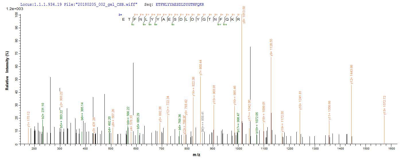 EPHA2 / EPH Receptor A2 Protein - Based on the SEQUEST from database of E.coli host and target protein, the LC-MS/MS Analysis result of Recombinant Human Ephrin type-A receptor 2(EPHA2),partial could indicate that this peptide derived from E.coli-expressed Homo sapiens (Human) EPHA2.