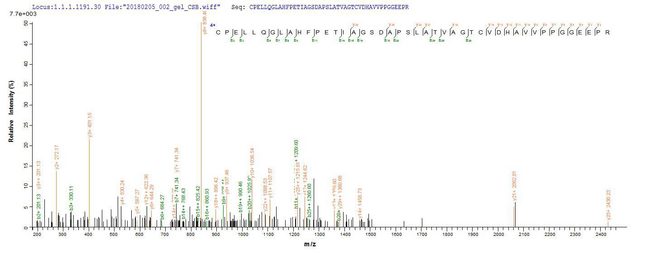 EPHA2 / EPH Receptor A2 Protein - Based on the SEQUEST from database of E.coli host and target protein, the LC-MS/MS Analysis result of Recombinant Human Ephrin type-A receptor 2(EPHA2),partial could indicate that this peptide derived from E.coli-expressed Homo sapiens (Human) EPHA2.