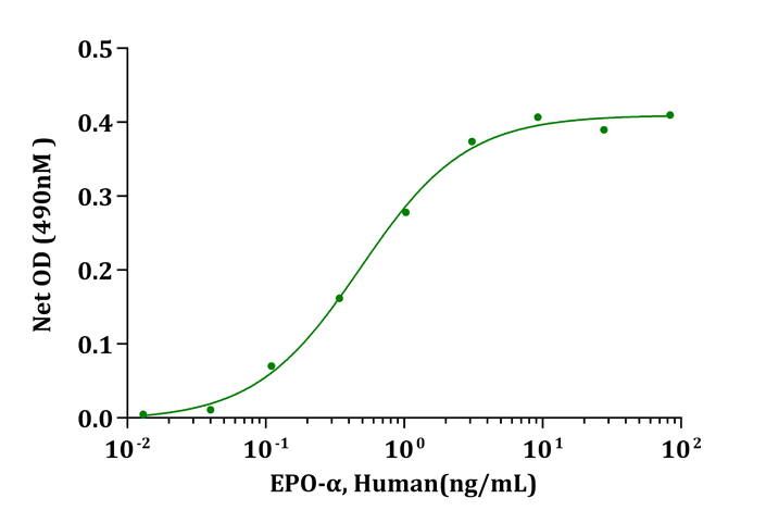 EPO / Erythropoietin Protein - Biological Activity EPO-alfa, Human stimulates cell proliferation of TF-1 cells. The ED 50 for this effect is less than 1ng/mL.