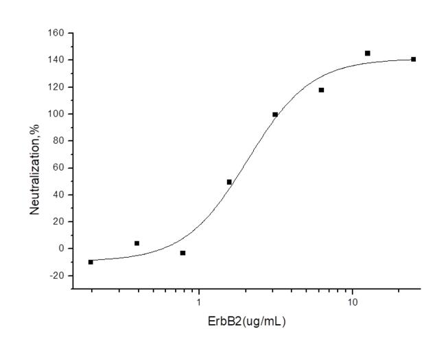 ERBB2 / HER2 Protein - Measured by its ability to block anti-ErbB2 mediated inhibition of BT474 human breast ductal carcinoma cell proliferation. The ED50 for this effect is 0.4-2.4µg/mL in the presence of 0.6 µg/mL Anti-ErbB2/Her2 Monoclonal Antibody.