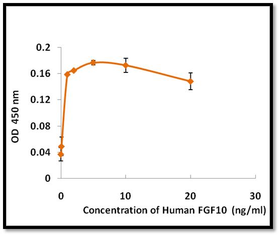 FGF10 Protein - The bioactivity was determined in a NIH/3T3 cell proliferation assay. The ED50 was in the range of 0.05 - 0.5 ng/ml.