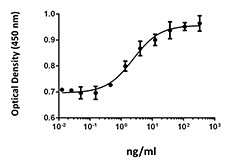 FGF10 Protein - MCF-7 cell proliferation induced by human FGF-10 in the presence of 2 µg/mL heparin.