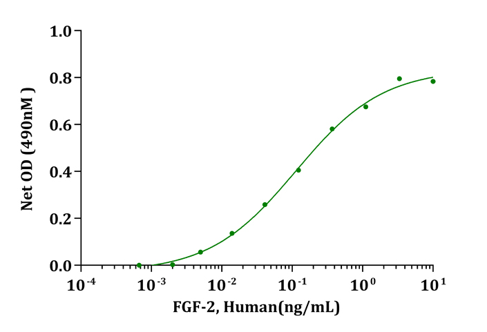 FGF2 / Basic FGF Protein - Biological Activity FGF-basic, Human stimulates cell proliferation of Balb/3T3 cells. The ED 50 for this effect is less than 0.25ng/mL.
