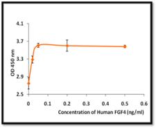 FGF4 Protein - The ED50 as determined by the dose-dependent stimulation of mouse fibroblasts was <0.2 ng/ml