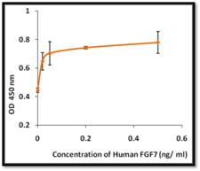 FGF7 / KGF Protein - The ED50 as determined by the dose-dependent proliferation of 3T3 cells was found to be less than 0.5 ng/mL.