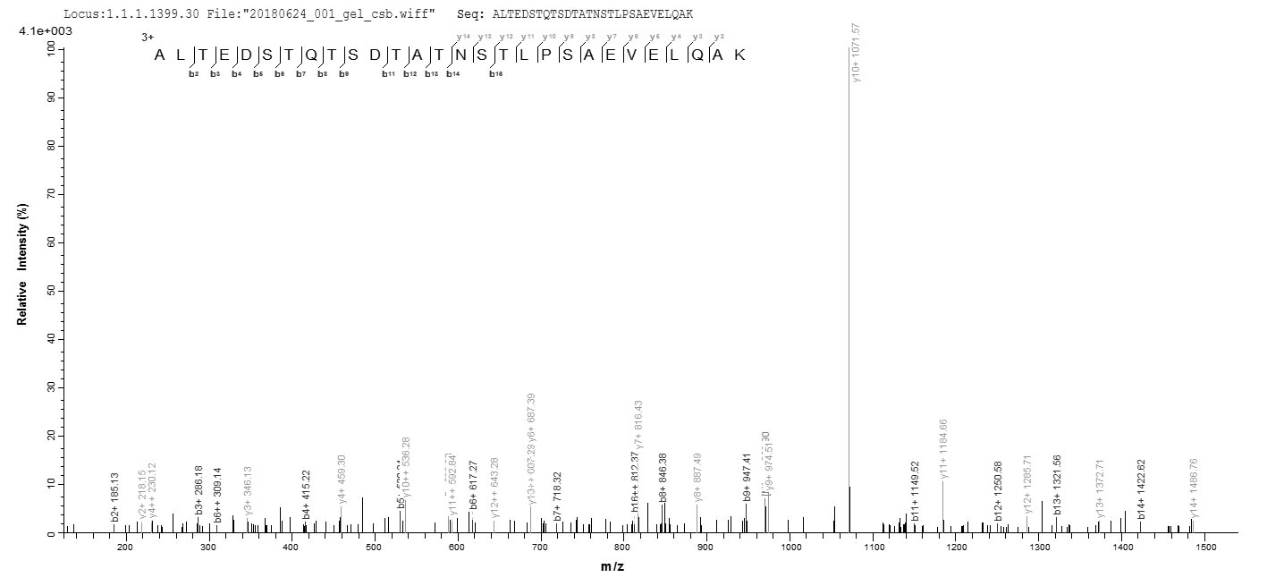 FPR1 / FPR Protein - Based on the SEQUEST from database of E.coli host and target protein, the LC-MS/MS Analysis result of Recombinant Human fMet-Leu-Phe receptor(FPR1),partial could indicate that this peptide derived from E.coli-expressed Homo sapiens (Human) FPR1.