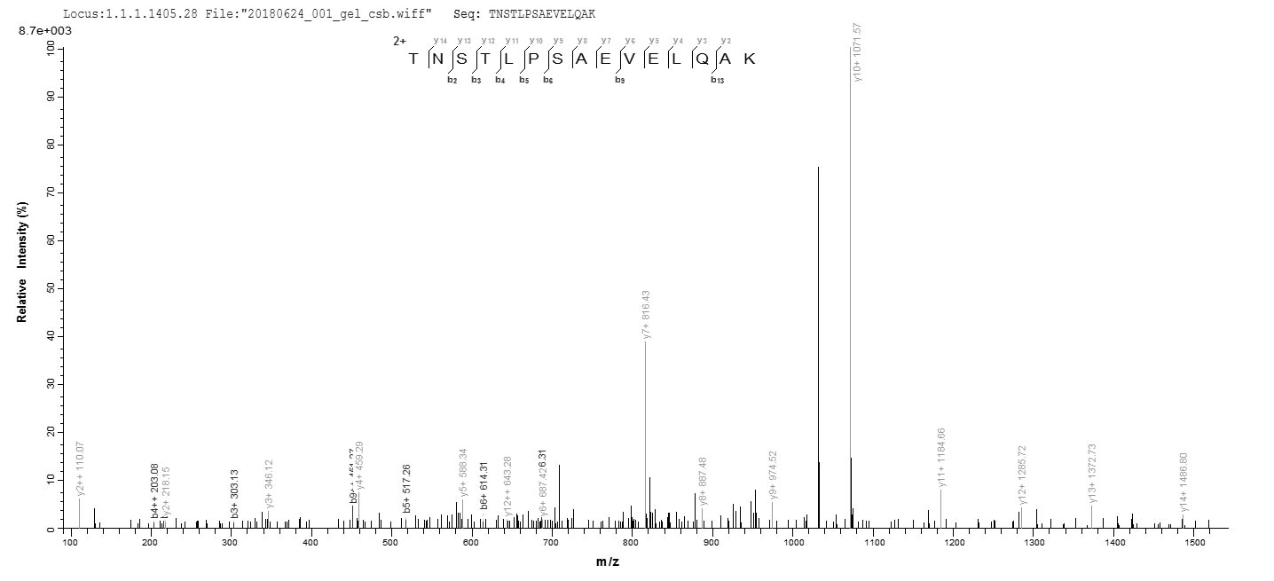 FPR1 / FPR Protein - Based on the SEQUEST from database of E.coli host and target protein, the LC-MS/MS Analysis result of Recombinant Human fMet-Leu-Phe receptor(FPR1),partial could indicate that this peptide derived from E.coli-expressed Homo sapiens (Human) FPR1.