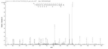 FPR1 / FPR Protein - Based on the SEQUEST from database of E.coli host and target protein, the LC-MS/MS Analysis result of Recombinant Human fMet-Leu-Phe receptor(FPR1),partial could indicate that this peptide derived from E.coli-expressed Homo sapiens (Human) FPR1.