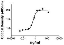 GDF2 / BMP9 Protein - Alkaline phosphatase induced by human BMP-9 in ATDC5 cells.