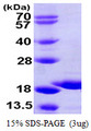 GSKIP / C14orf129 Protein