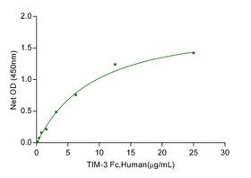 HAVCR2 / TIM-3 Protein - Immobilized Galectin-9 His,Human at 0.5µg/mL (100 µL/well) can bind TIM-3 Fc,Human with a linear range of 0.78-6.25 µg/mL.