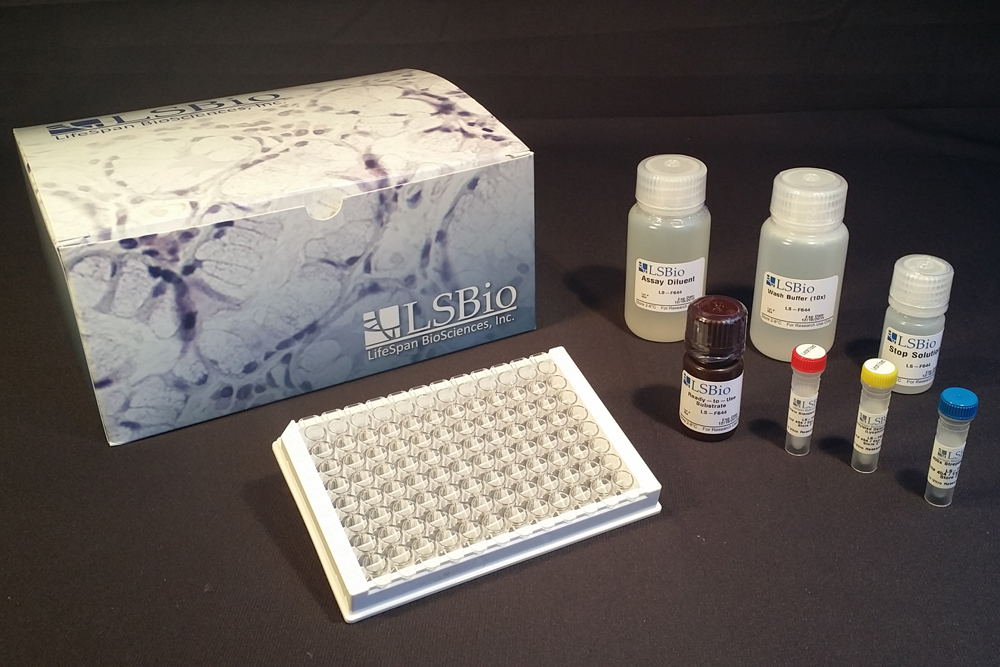HGF / Hepatocyte Growth Factor ELISA Kit