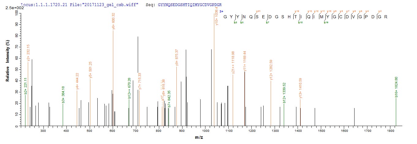 HLA-A Protein - Based on the SEQUEST from database of E.coli host and target protein, the LC-MS/MS Analysis result of Recombinant Human HLA class I histocompatibility antigen,A-1 alpha chain(HLA-A),partial could indicate that this peptide derived from E.coli-expressed Homo sapiens (Human) HLA-A.