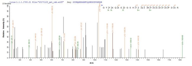 HLA-A Protein - Based on the SEQUEST from database of E.coli host and target protein, the LC-MS/MS Analysis result of Recombinant Human HLA class I histocompatibility antigen,A-1 alpha chain(HLA-A),partial could indicate that this peptide derived from E.coli-expressed Homo sapiens (Human) HLA-A.