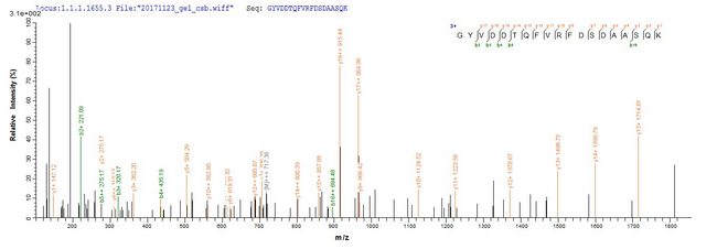 HLA-A Protein - Based on the SEQUEST from database of E.coli host and target protein, the LC-MS/MS Analysis result of Recombinant Human HLA class I histocompatibility antigen,A-1 alpha chain(HLA-A),partial could indicate that this peptide derived from E.coli-expressed Homo sapiens (Human) HLA-A.