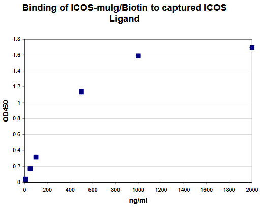 ICOS / CD278 Protein