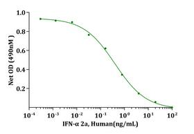 IFNA2A Protein - Biological Activity IFN-alpha 2a, Human induced cytotoxicity of R&amp;D TF-1 cells. The ED 50 for this effect is less than 0.1ng/mL.